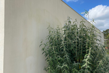 Fotografia de fachadas em capoto antes da limpeza