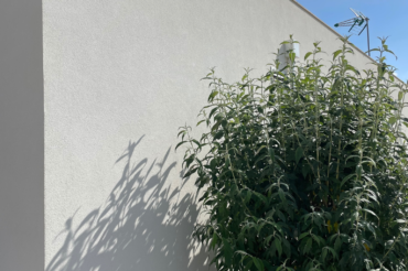 Fotografia de fachadas em capoto depois da limpeza